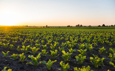 Duchy of Cornwall partners with Regenified to boost regenerative farming ambitions across estate