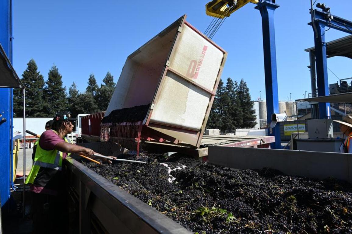 Interview: California grape growers facing toughest season in 30 years, says industry leader