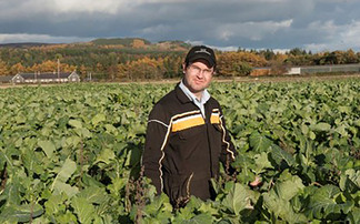 Sheep special: Feeding kale continues to deliver for Scottish estate