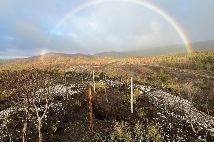 Legacy shaft site, Eureka mine, West Coast, Tasmania.