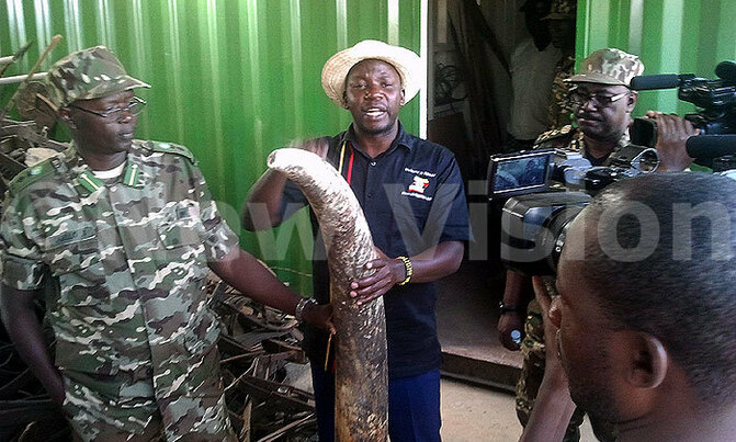 Poaching: The hunted to turn hunter Poaching: The hunted to turn hunter