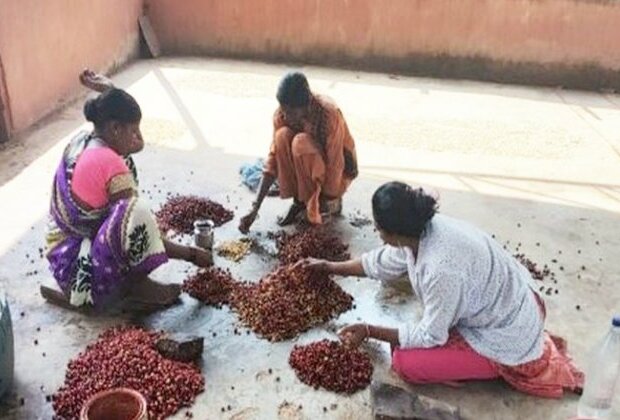 Chattisgarh: Aroma of coffee changing negative narrative of Naxal-hit Bastar region