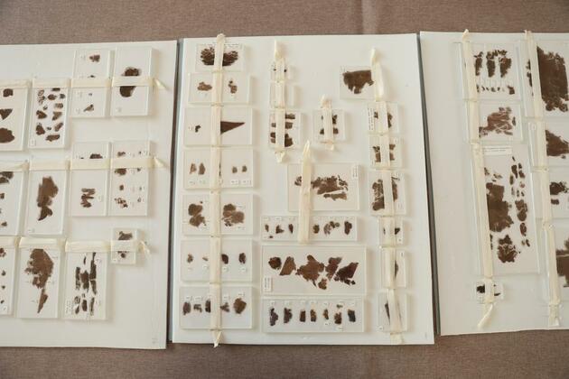 U.S. museum returns to China ancient silk manuscripts from Warring States period