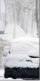Councils ask suppliers to prepare for another bitter winter
