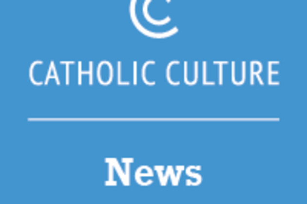 Press conference announced for presentation of Holy Sees Biennale art exhibit  Headlines