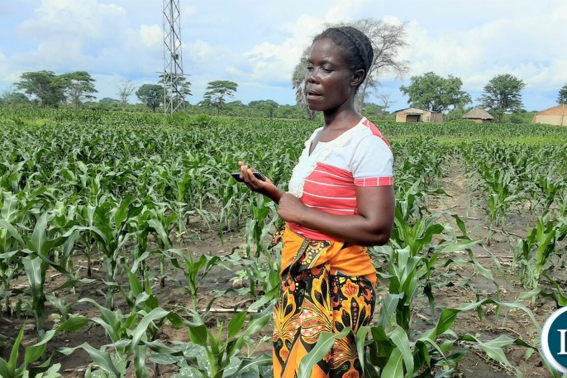 Over K74 Million Disbursed to Central Province Farmers Under Climate-Resilient Loan Scheme