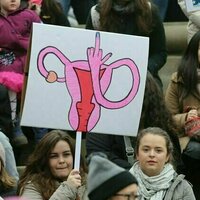 Wandering uteruses and far-reaching tubes: the surprising mobility of the female reproductive tract