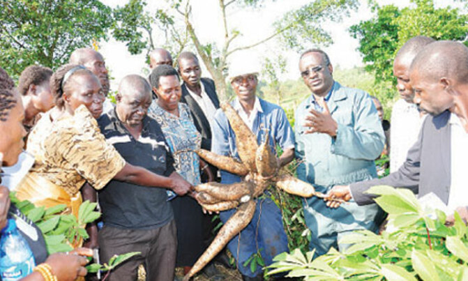 I rejected a SH5b offer for my farm I rejected a SH5b offer for my farm