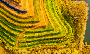 A recultivated landscape after mining in Western Bohemia, Czech Republic