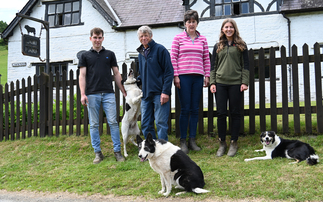 Beulah Speckled Face sheep form foundation of Welsh family's quality livestock enterprise