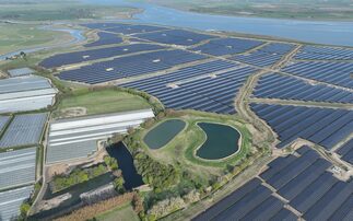 'New benchmark': 373MW Cleve Hill site becomes UK's largest operational solar farm