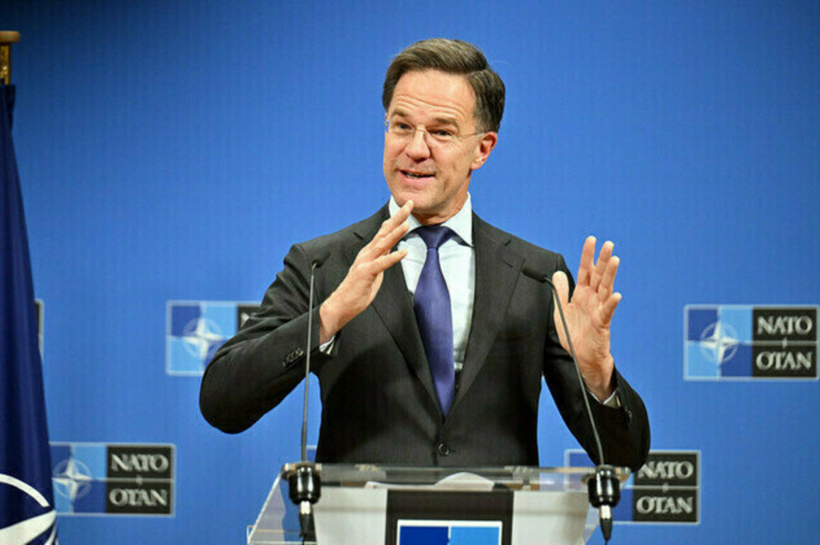 NATO boss tells Europe to stop complaining