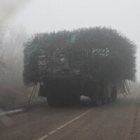 Hedgehogs In The Fog: The Unearthly New Armor Spotted In Ukraine