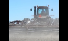  The possibility of drier conditions is weighing on farmer confidence, according to Rabobank's latest survey. Photo: Mark Saunders.