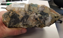  A high-grade sample from BTU Metals' Dixie Halo project