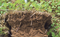 UK farmers can tap into the carbon potential of non-peat soils