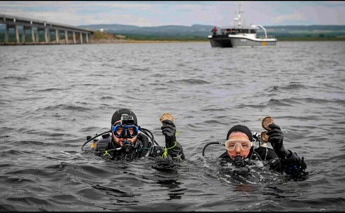 (L-R) Alex Robertson-Jones and Prof Bill Sanderson inspect DEEP’s native European oysters from the Dornoch Firth | Credit: Heriot-Watt University