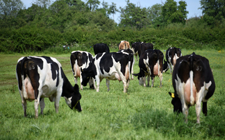 Organic farmers urged to join Soil Association consultation