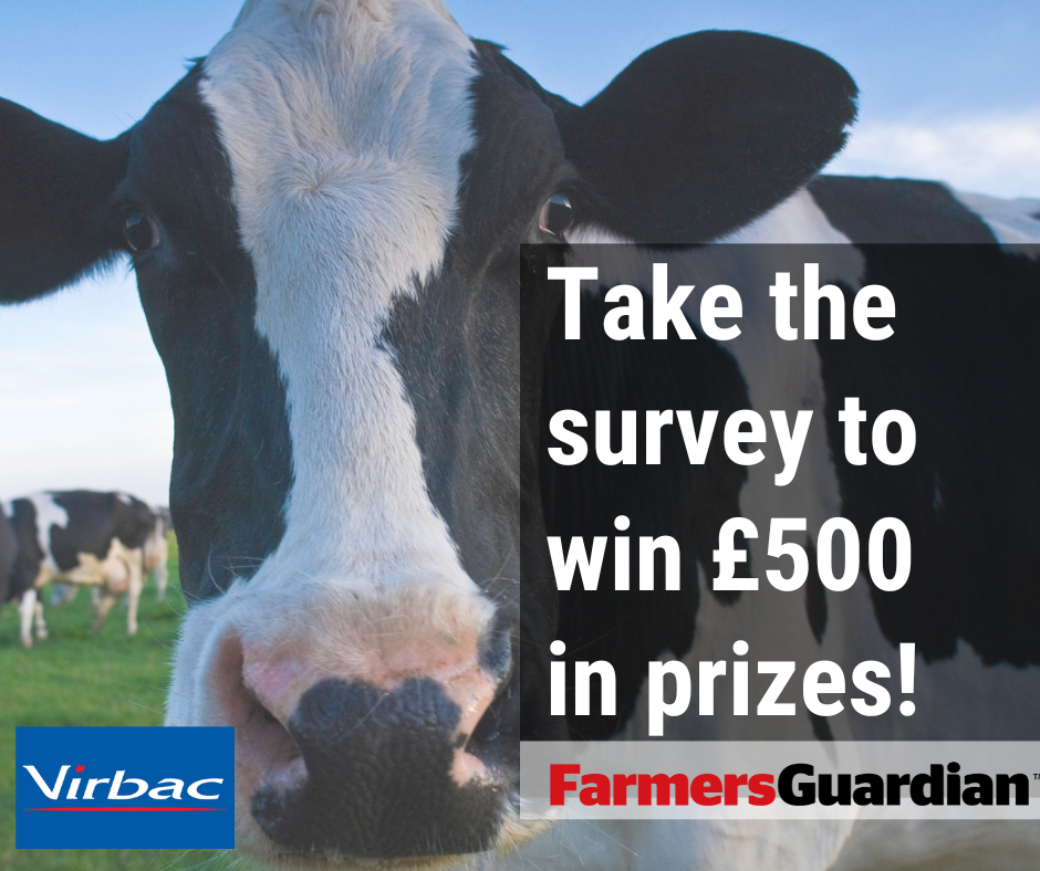 Take the survey to win upto £500