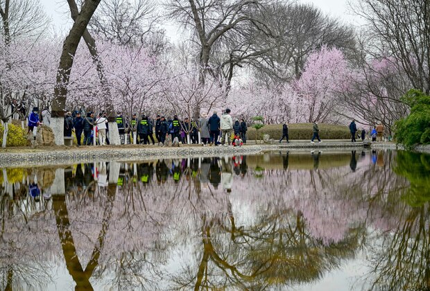 CHINA-TIANJIN-SPRINGTIME CULTURAL FESTIVAL-PEACH BLOSSOM (CN)