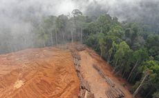 European Parliament and Council agree one-year delay to flagship deforestation regulations