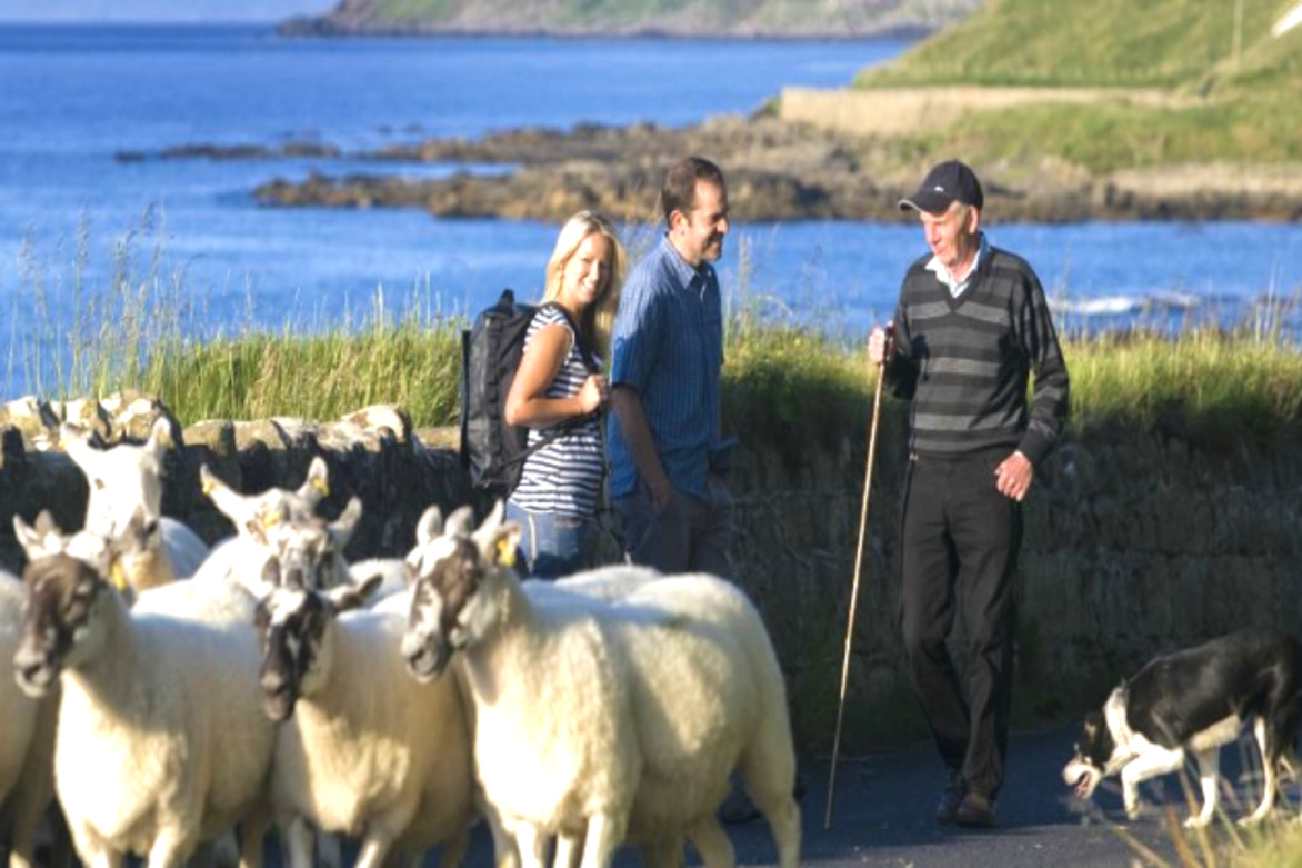Number of tourists visiting Ireland fell 15 percent in March