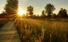 Industry Voice: Rethinking sustainable investing approaches