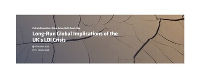 Long-Run Global Implications of the UK's LDI Crisis