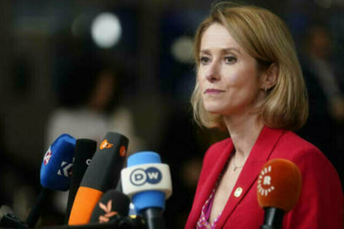 EU's chief diplomat backs Zelensky's refusal to hold elections