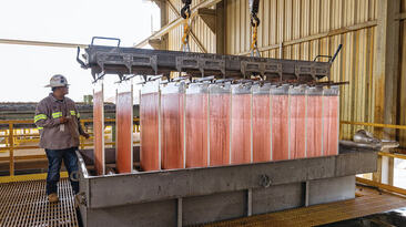 Copper cathodes from Johnson Camp, Arizona