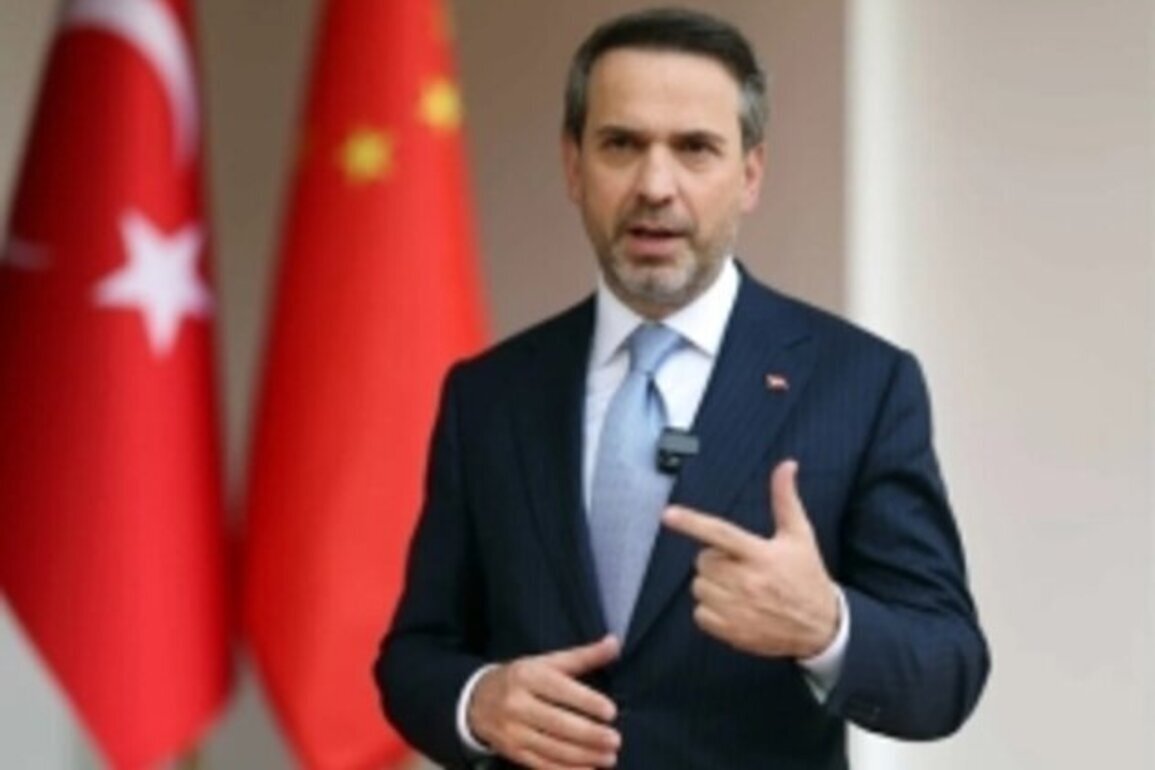 Turkey sees Armenia in regional energy projects