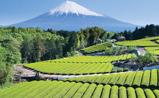 Japan seeks to limit access for UK food products in post-Brexit trade deal