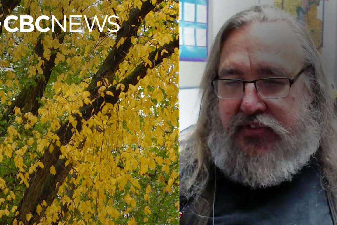 Keeping Dutch elm disease in check
