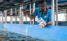 "Even if we go without rain for the next 10 years, we are okay," – Lessons in water efficiency from a vertical fish farm in Kenya 