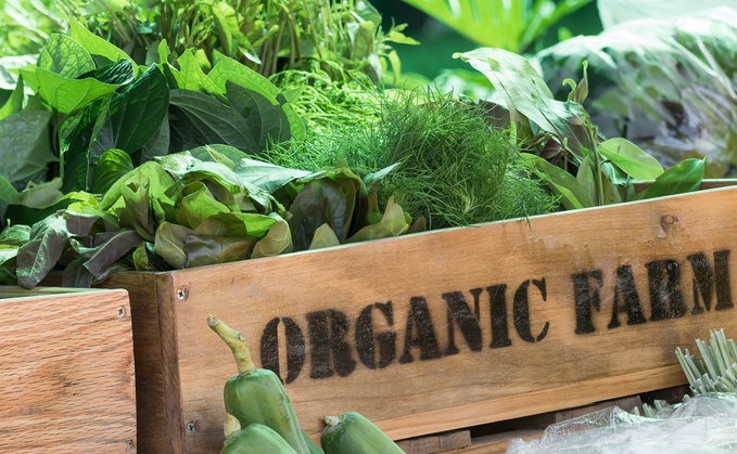 'Growth and resilience': Organic market breaks £3bn mark for first time