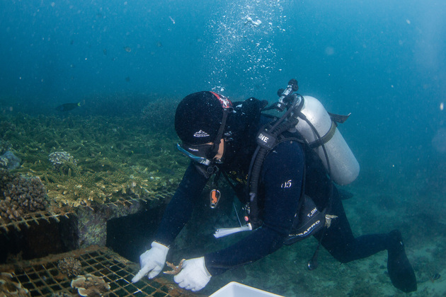 (HainanOutlook) CHINA-HAINAN-MARINE RANCH-CORALS-FISH(CN)