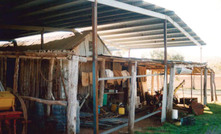 Shearing shed makeover makes good sense