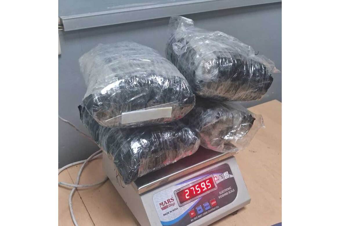 2.7 kg hydroponic weed seized at Delhi airport