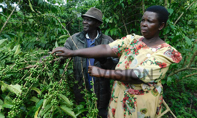 Mobile phones ease village transactions Mobile phones ease village transactions