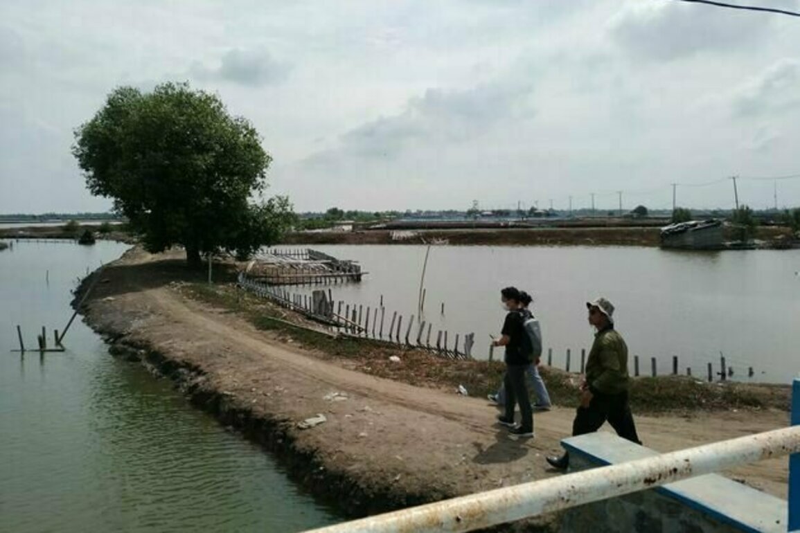 'Mang Oge' dan usaha warga Muara Gembong buktikan hilirisasi mangrove bisa janjikan cuan