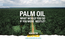 'Beneath the Surface': Nestlé challenges consumers to help tackle sustainable palm oil challenge