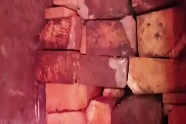 PoJK: Massive timber smuggling network exposed in Neelum valley