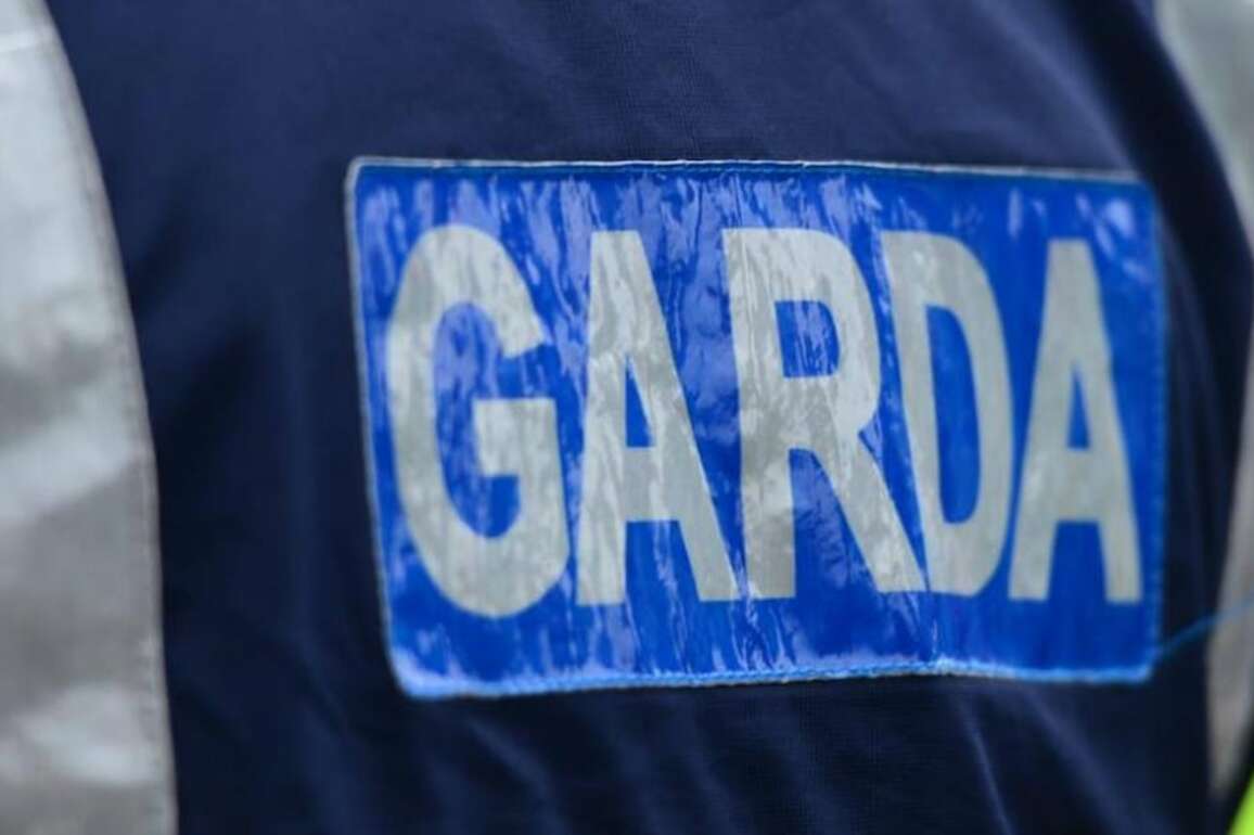 Two men treated for serious injuries following shooting in Offaly  The Irish Times
