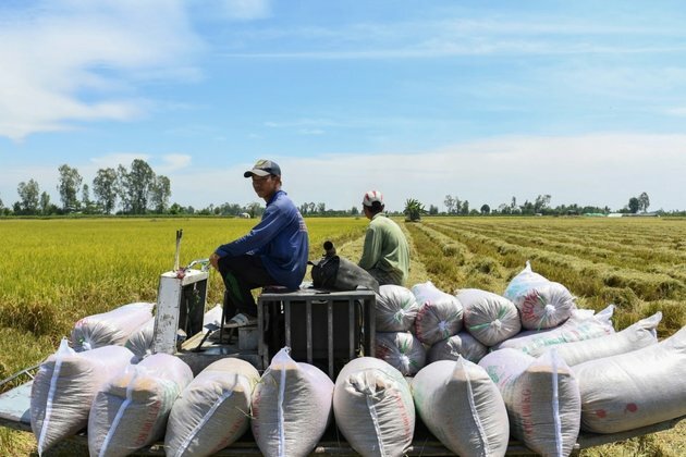 How Vietnam is Trying to Stop Rice Warming the Planet