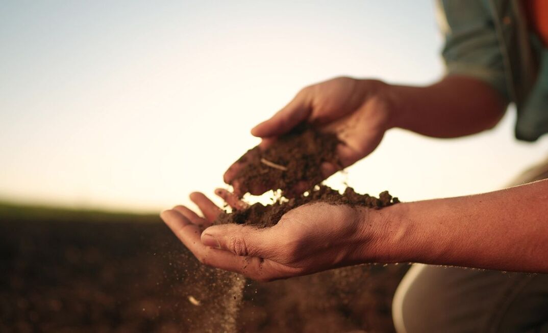 Elders' chief agronomist said growers should focus on making quality nitrogen decisions - not on market prediction. 