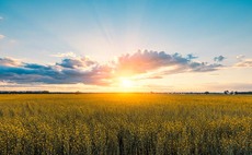 Treatment of tenants branded 'feudal' in solar farm fight