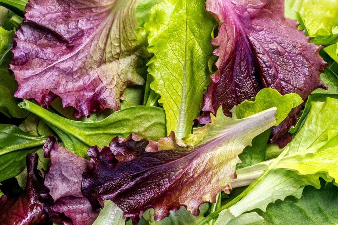 Lettuce will stay fresh for '30 days' if you wrap it in 1 item