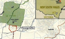 NSW mines adhering to Leard Forest conditions