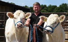 Combination of youth and experience works well for Charollais herd