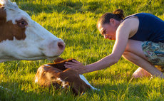 Open Farm Sunday: Shropshire organic farm raising money for community ownership to showcase 'unusual' cow and calf dairy
